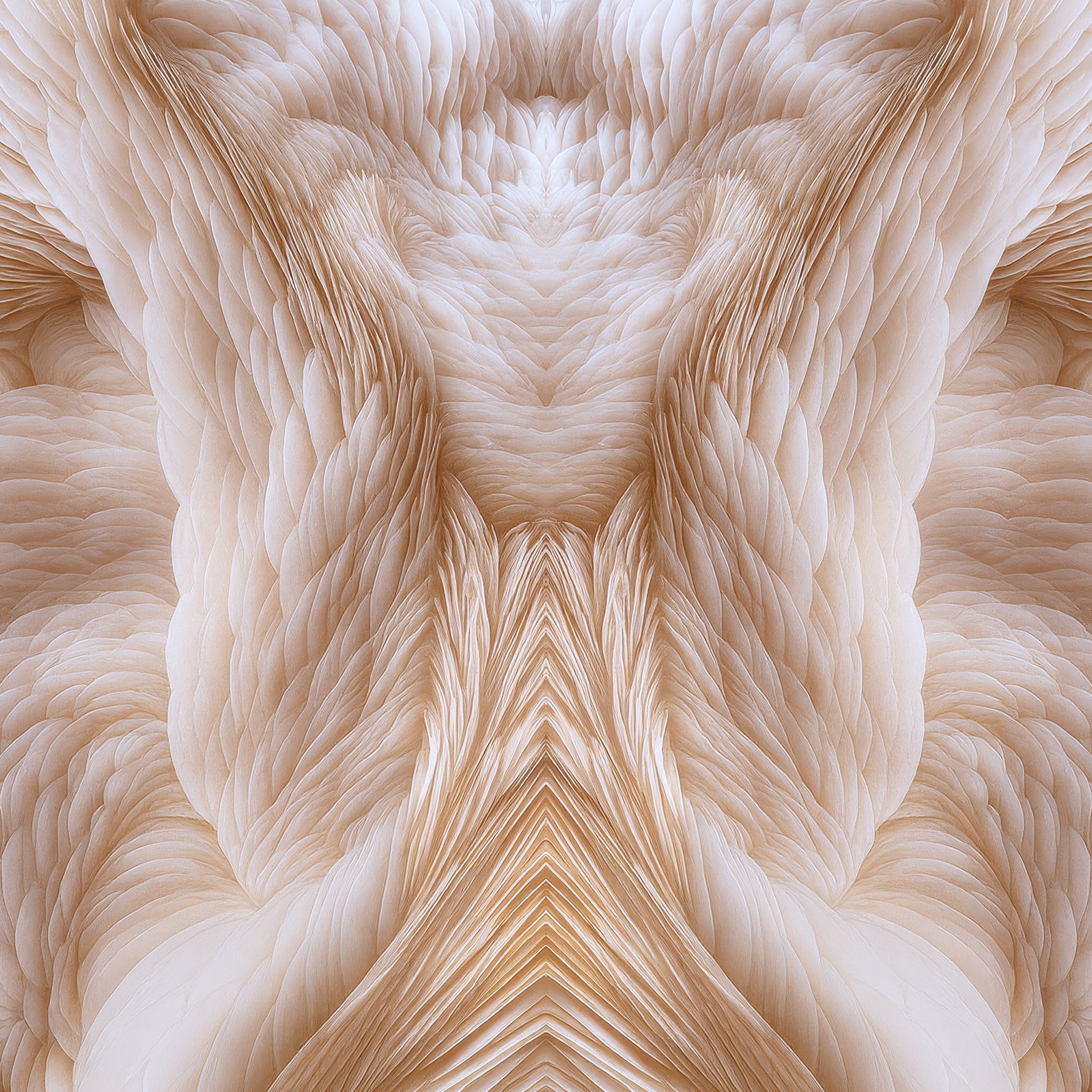 Angel Wings