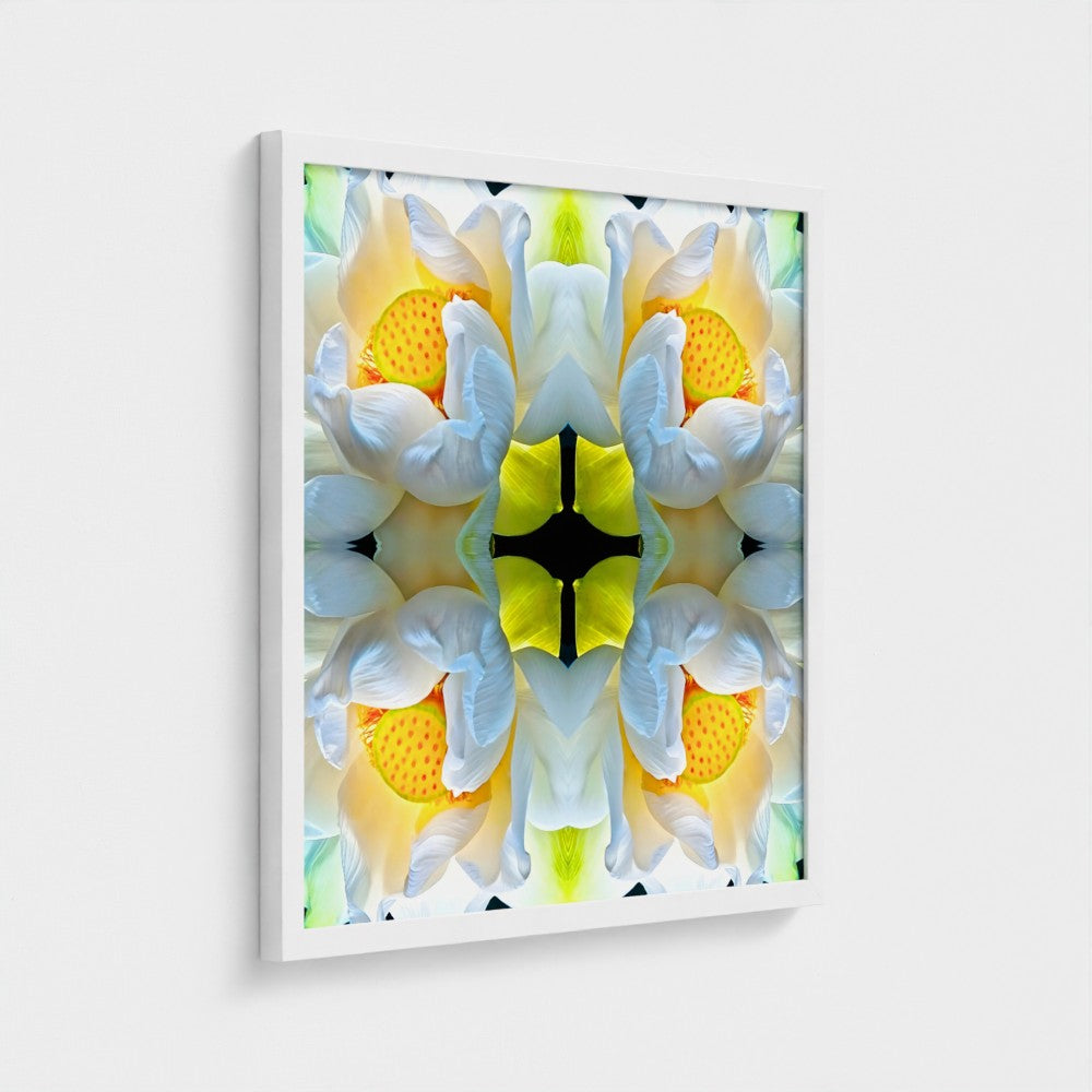 LOTUS: Framed Giclée Print 20x20"