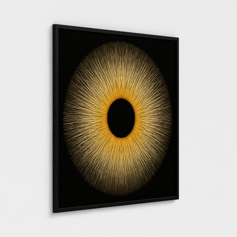 SUN EYE: Framed Giclée Print 20x20"