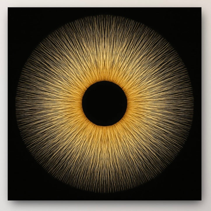 SUN EYE: 4 Distinct Fine Art Metal Prints 36x36"