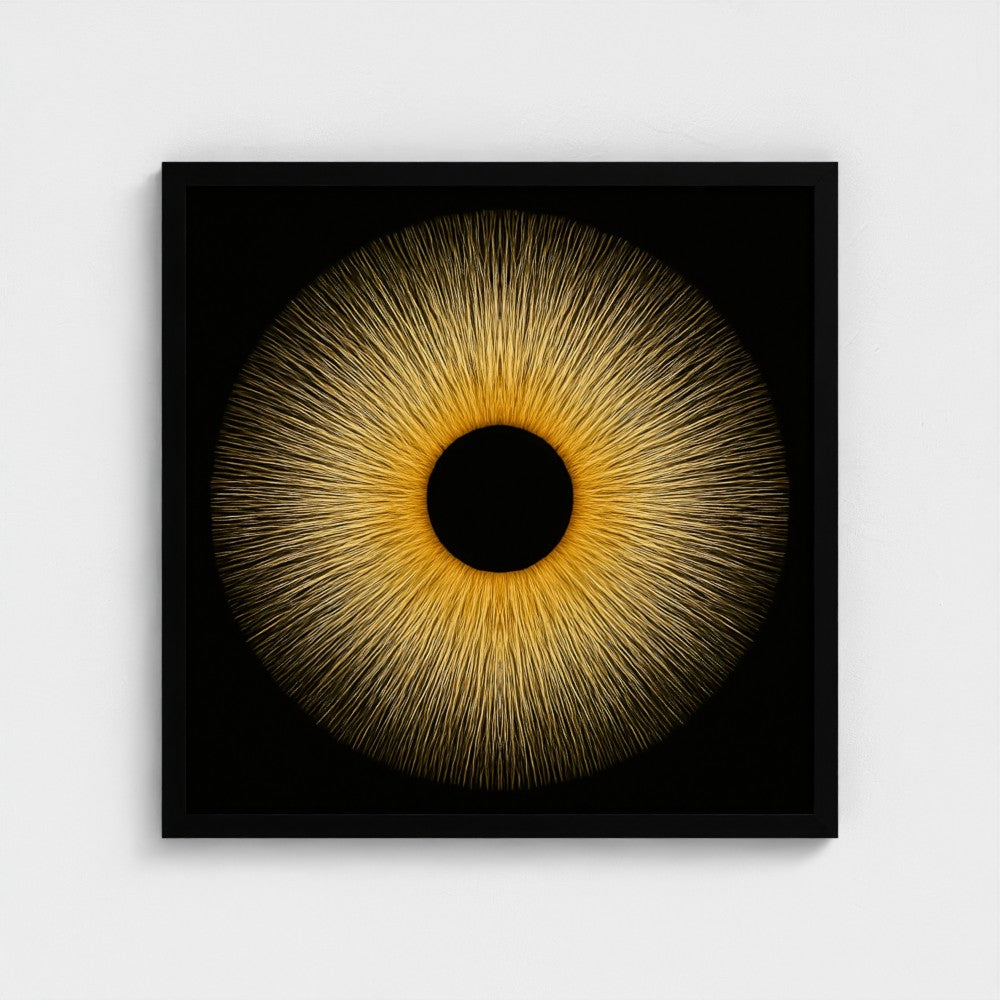 SUN EYE: Framed Giclée Print 20x20"