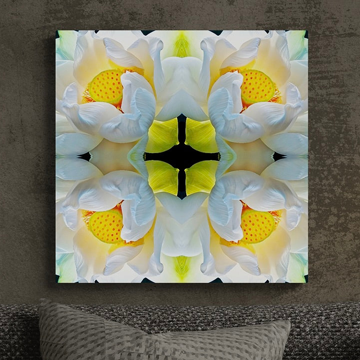 Sustainable Walls Bundle