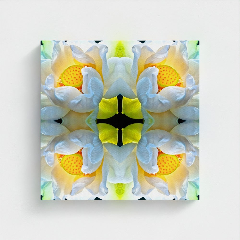 Sustainable Art Bundle