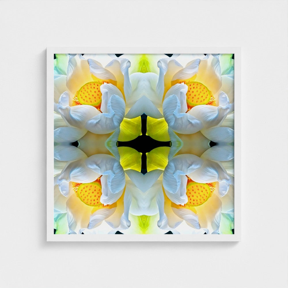 LOTUS: Framed Giclée Print 20x20"