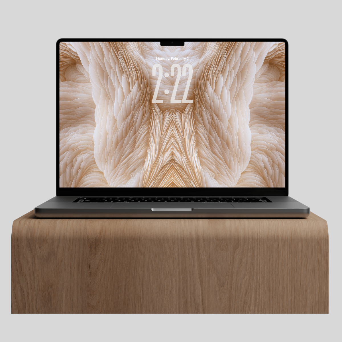 ANGEL WINGS: Fine Art Screensavers